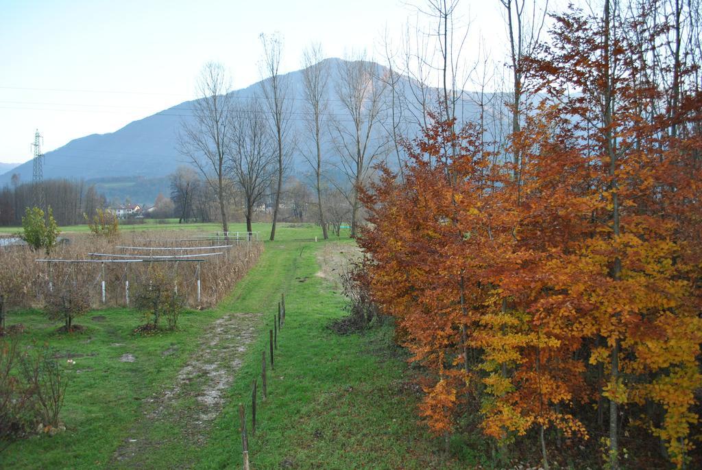 Agriturismo Il Girasole Feltre Exterior foto